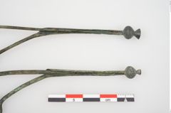 Foto von Bronzeschlangenfibel (NHMW-PRAE-025811)